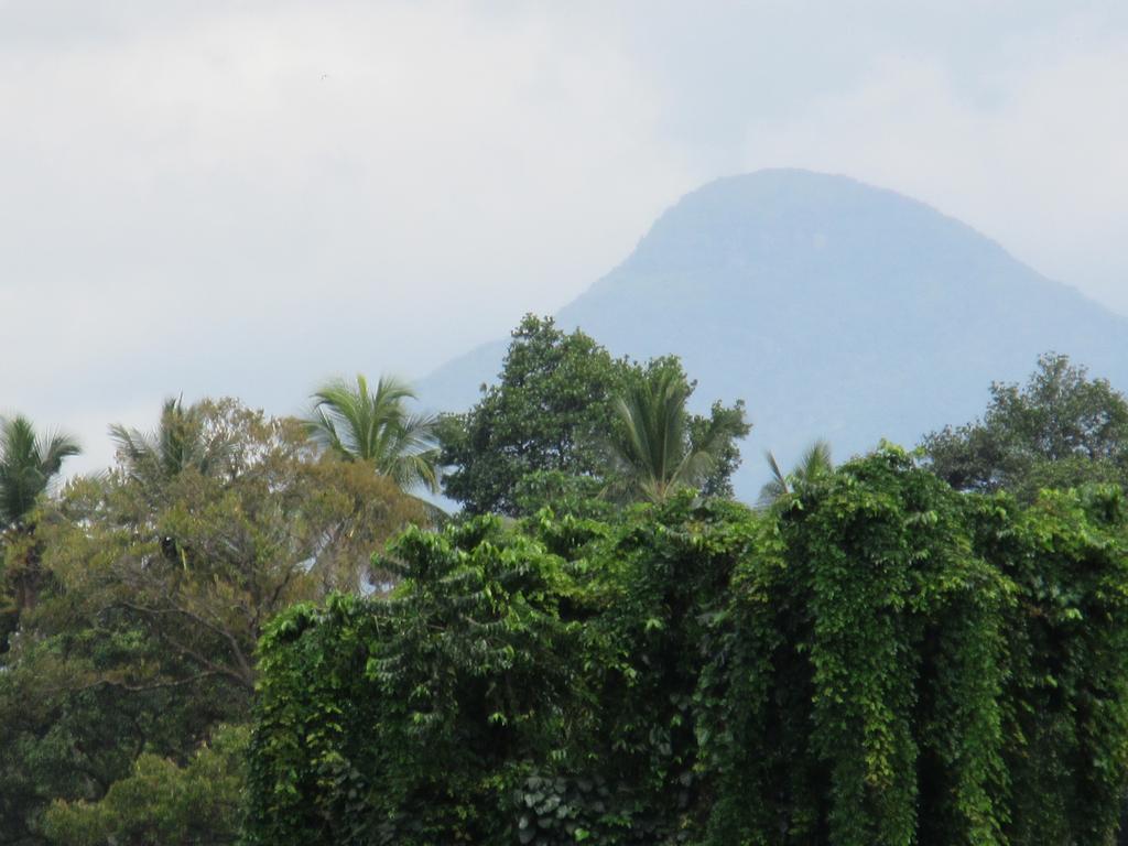 Nature Walk Resort Kandy Exterior foto