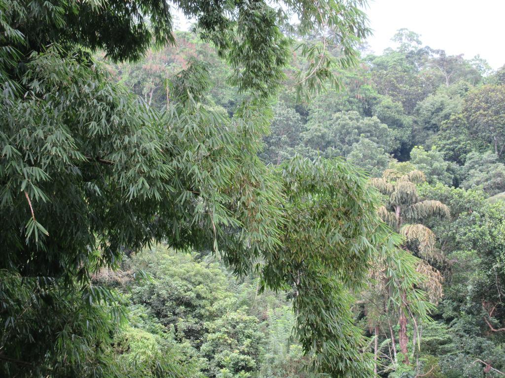 Nature Walk Resort Kandy Exterior foto